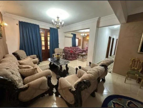 Apartment for rent at 6 October City